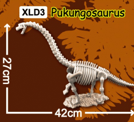 한반도공룡 부경고사우루스 12개