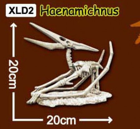 한반도공룡뼈발굴(특대형) - 해남이크누스 12개